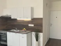 Prodej bytu 1+1, Chomutov, 17. listopadu, 36 m2