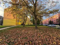 Prodej bytu 2+1, Bílina - Teplické Předměstí, M. Švabinského, 56 m2