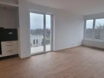 Pronájem bytu 2+kk, Zelené Předměstí, Pod Vinicí, 68 m2