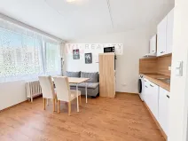 Pronájem bytu 1+kk, Brno, Oderská, 35 m2