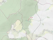 Dražba lesa, Nová Hradečná, 6275 m2