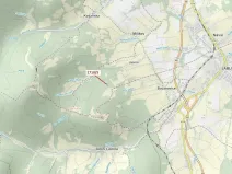 Dražba lesa, Návsí, 3528 m2