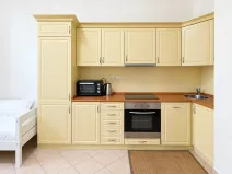 Pronájem bytu 1+kk, Praha - Vinohrady, 41 m2