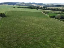 Dražba pole, Ořechov, 2077 m2