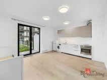 Pronájem bytu 1+kk, Plzeň - Jižní Předměstí, Železná, 28 m2