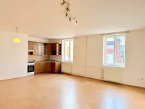Pronájem bytu 3+1, Plzeň, Goethova, 125 m2