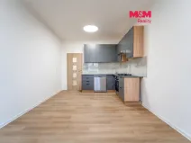Pronájem bytu 3+kk, Plzeň - Východní Předměstí, Francouzská třída, 55 m2