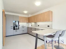 Pronájem bytu 4+1, Praha - Liboc, U silnice, 200 m2