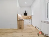 Prodej bytu 2+1, Opava - Předměstí, Zámecký okruh, 65 m2