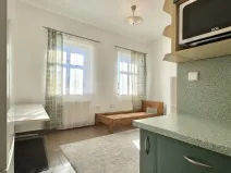Pronájem bytu 1+kk, Plzeň - Severní Předměstí, Luční, 27 m2