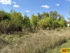 Prodej pozemku pro komerční výstavbu, Znojmo, 21190 m2