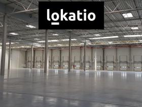 Pronájem skladu, Chomutov, 3500 m2