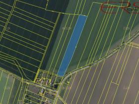 Prodej zemědělské půdy, Nový Bydžov, 11484 m2