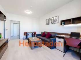 Pronájem bytu 2+1, Plzeň - Jižní Předměstí, Magisterská, 46 m2