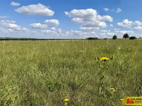 Prodej pozemku pro komerční výstavbu, Znojmo - Mramotice, 8168 m2