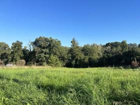 Prodej komerčního pozemku, Třinec - Konská, 1818 m2