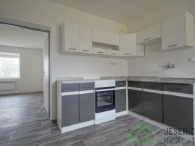 Pronájem bytu 1+1, Vápenná, 42 m2