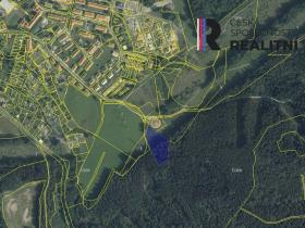 Prodej lesa, Březová, Okružní, 6018 m2