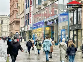 Pronájem obchodního prostoru, Brno, Česká, 165 m2