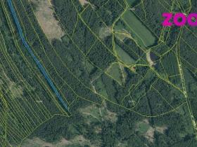 Prodej lesa, Deštná, 4056 m2