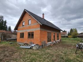 Prodej rodinného domu, Velký Borek, Partyzánská, 863 m2
