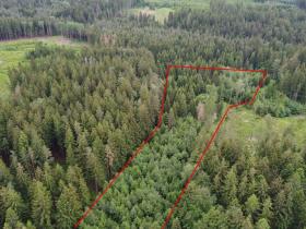 Prodej lesa, Kladno, 19588 m2