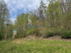 Prodej pozemku pro komerční výstavbu, Nové Hrady - Údolí, 2759 m2