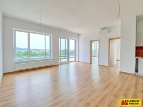 Pronájem bytu 4+kk, Znojmo, Vídeňská třída, 96 m2