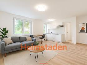 Pronájem bytu 1+kk, Havířov - Šumbark, Klimšova, 30 m2