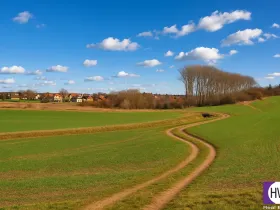 Prodej zemědělské půdy, Vodochody, Hoštice, 7272 m2