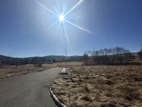 Prodej pozemku pro bydlení, Zdíkov, 1200 m2