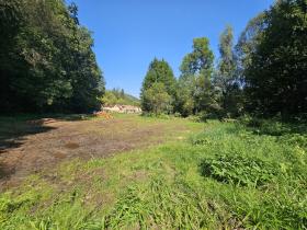 Prodej trvalého travního porostu, Letovice, Podlesí, 1981 m2