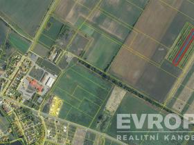 Prodej zahrady, Pasohlávky, 5400 m2