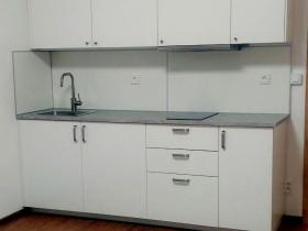 Pronájem bytu 1+kk, Olomouc, Frištenského, 32 m2