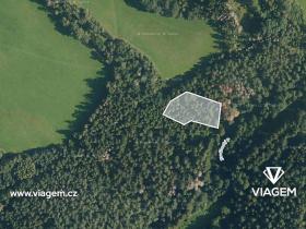Prodej podílu lesa, Bošice, 1711 m2