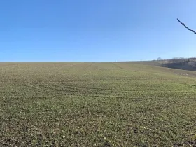 Prodej pozemku pro bydlení, Heršpice, 502 m2