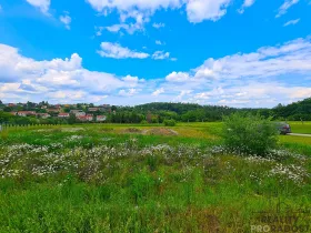 Prodej pozemku pro bydlení, Ruprechtov, 755 m2