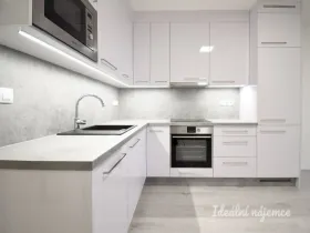 Pronájem bytu 1+kk, Brno - Ponava, Reissigova, 35 m2