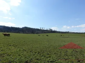 Prodej pozemku pro bydlení, Janovice nad Úhlavou, 11860 m2
