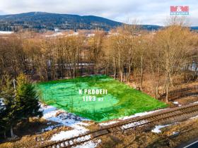 Prodej louky, Červená Voda - Bílá Voda, 1193 m2