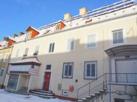 Prodej činžovního domu, Litvínov - Horní Litvínov, Podkrušnohorská, 390 m2