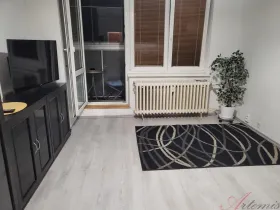 Pronájem bytu 1+kk, Ostrava - Moravská Ostrava, Lechowiczova, 30 m2