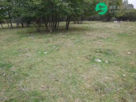 Prodej pozemku pro bydlení, Konstantinovy Lázně - Dlouhé Hradiště, 4000 m2