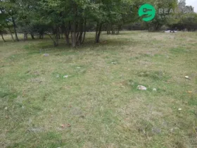 Prodej pozemku pro bydlení, Konstantinovy Lázně - Dlouhé Hradiště, 4000 m2