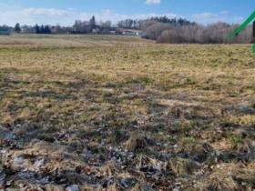 Prodej pole, Halže, 192062 m2