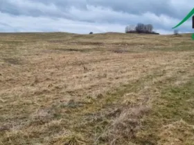 Prodej pole, Chodský Újezd - Neblažov, 387228 m2