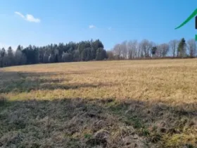 Prodej pole, Halže - Svobodka, 642424 m2