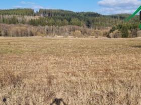 Prodej pole, Halže - Svobodka, 141968 m2