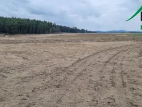 Prodej pole, Tisová - Trnová, 159359 m2