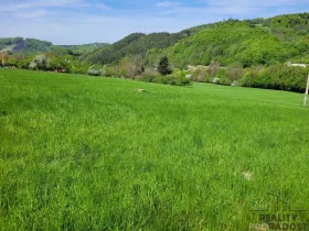 Prodej pozemku, Rusava, 3304 m2